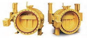 Check Valve