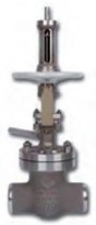 Nuclear Manual Bolted Bonnet Gate Valves