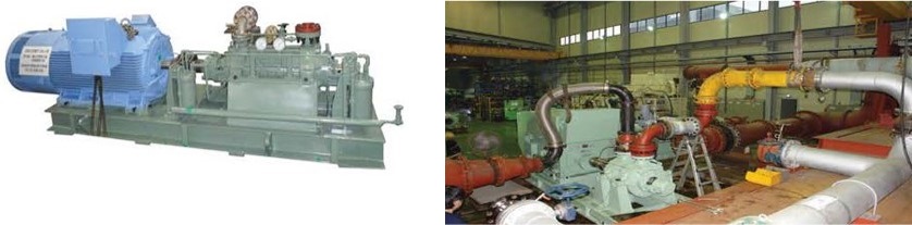 Horizontal Multistage Centrifugal Pump (DMS Model)